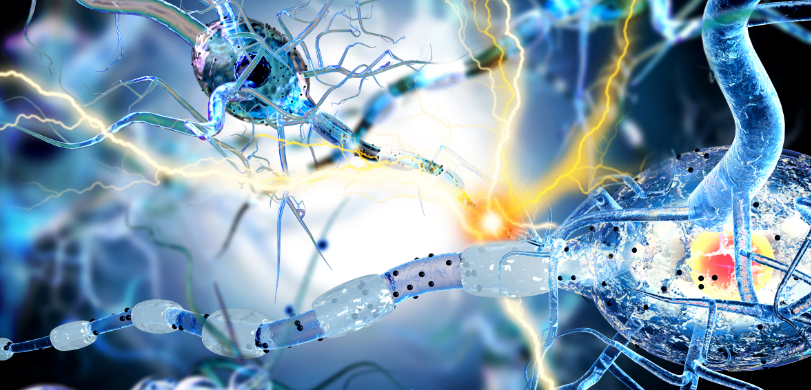 体检中的肿瘤标志物是什么?费用是多少? 体检中的肿瘤标志物是什么?费用是多少?